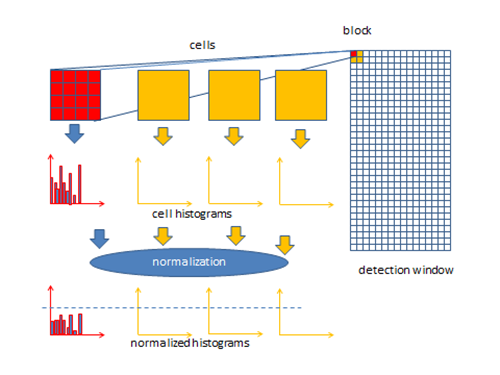 Image cell gradients(direction and magnitude)